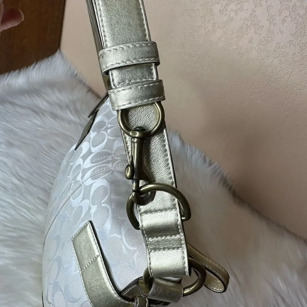 Coach bag pics accents